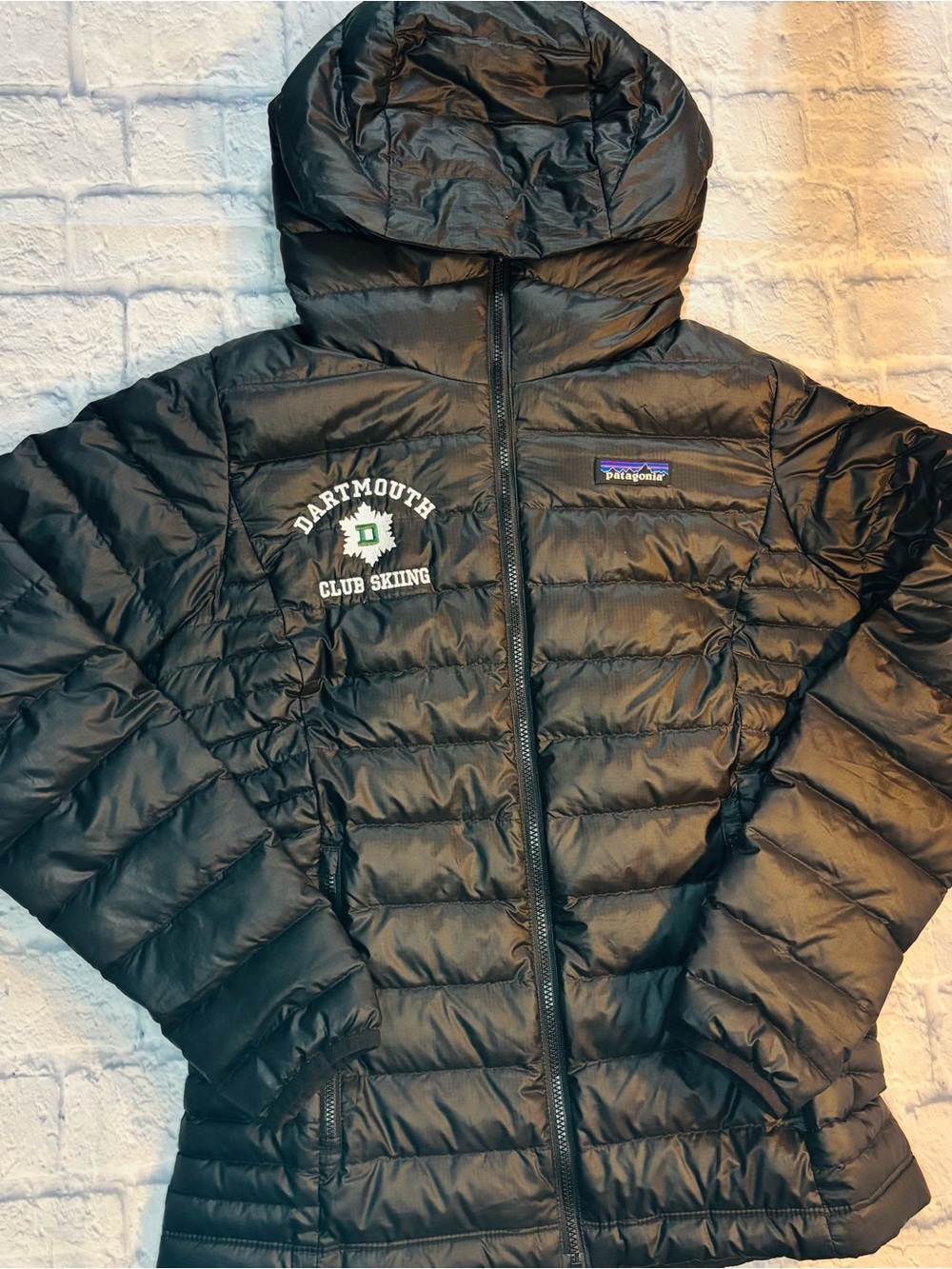 Patagonia Women’s Down Sweater Hoody Puffer Jacket- Black XS Dartmouth Ski Patch